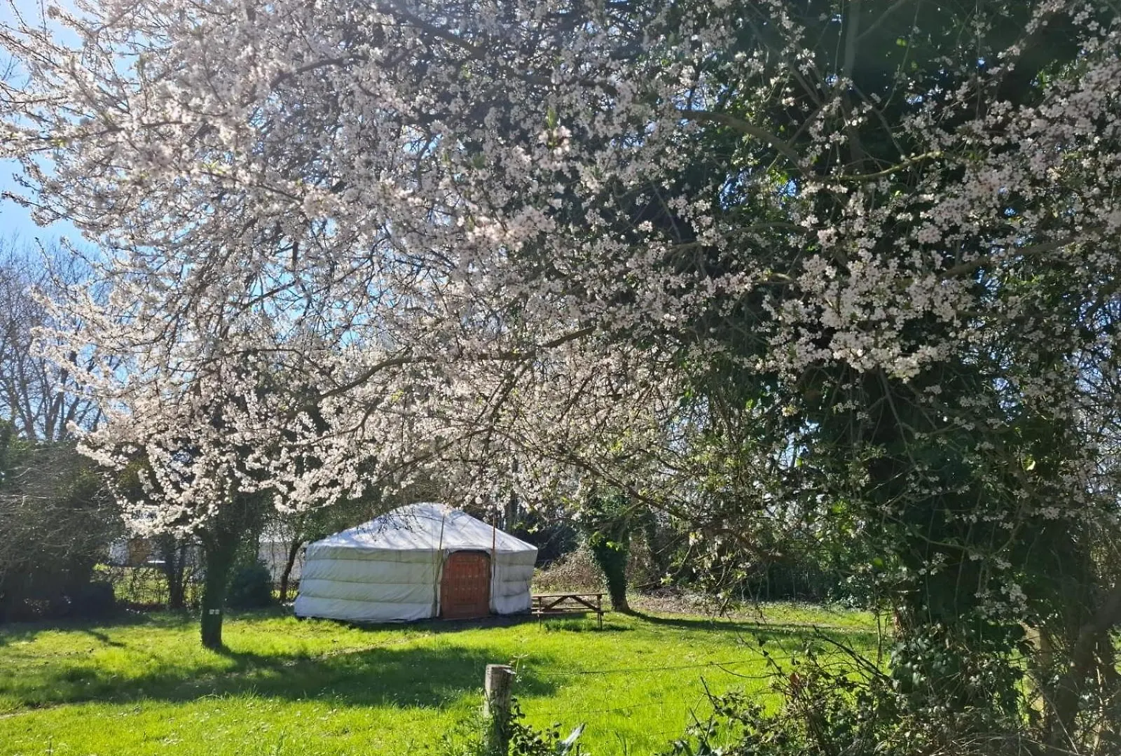 Le Village Insolite Yourte Et Roulotte Saint-Benoit-des-Ondes Campsite